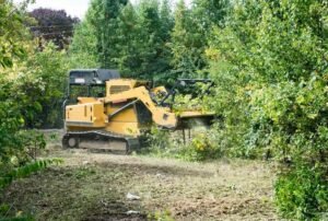 Land Clearing Excavator